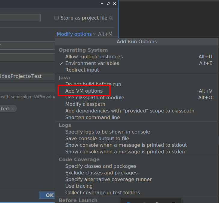 VM Options
